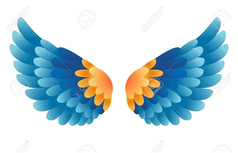 bird wing clipart|wings graphic images.